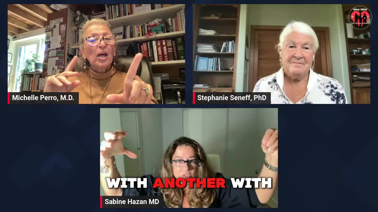 The Gut-Brain Revolution: How Akkermansia & Bifidobacteria Unlock Health | Dr. Seneff & Dr. Hazan