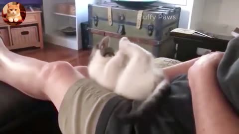 Laugh Out Loud Animals! 😂 _ Best Cat and Dog Fails 2025 🐶😼 _ Part 2