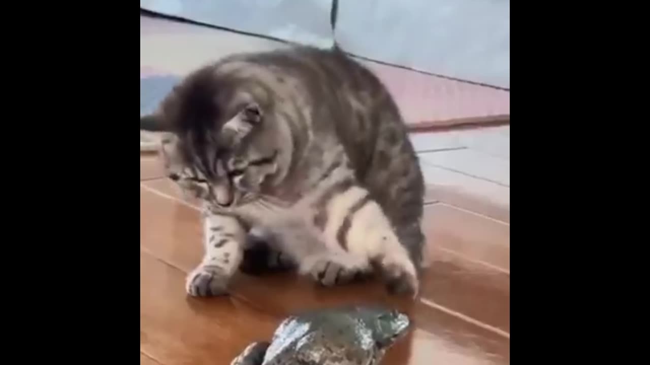 Furry Fails Galore: Hilarious Animal Compilation!