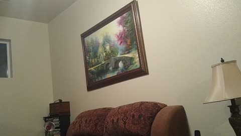 Chris reacts to light fixture being loose