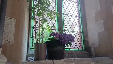 Flowers for the dead