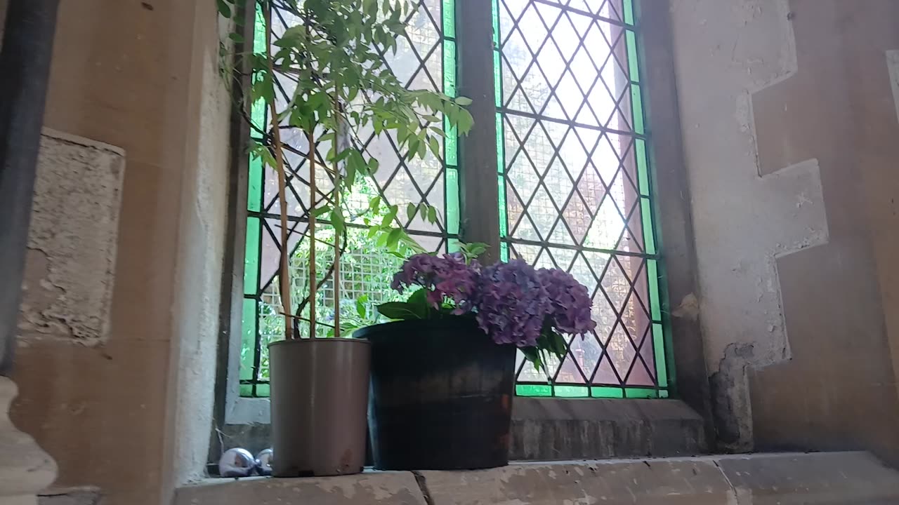 Flowers for the dead