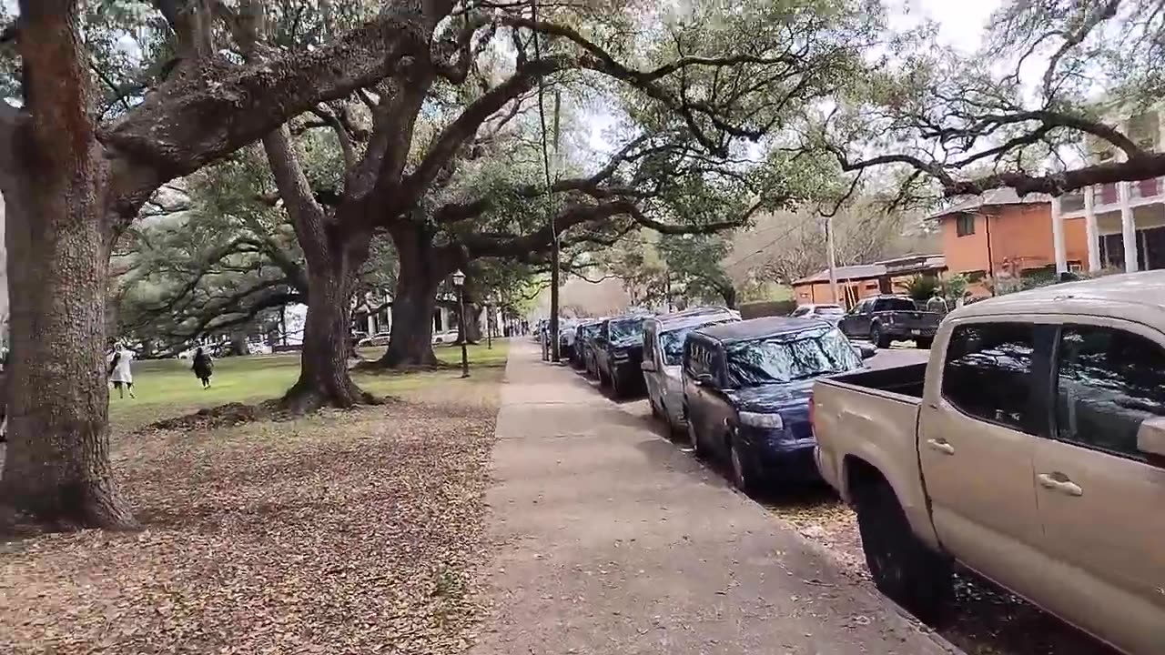 My Last Walk From the Parades Uptown New Orleans 3/4/25