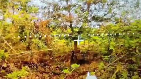 Ukraine war combat footage 7/26/25