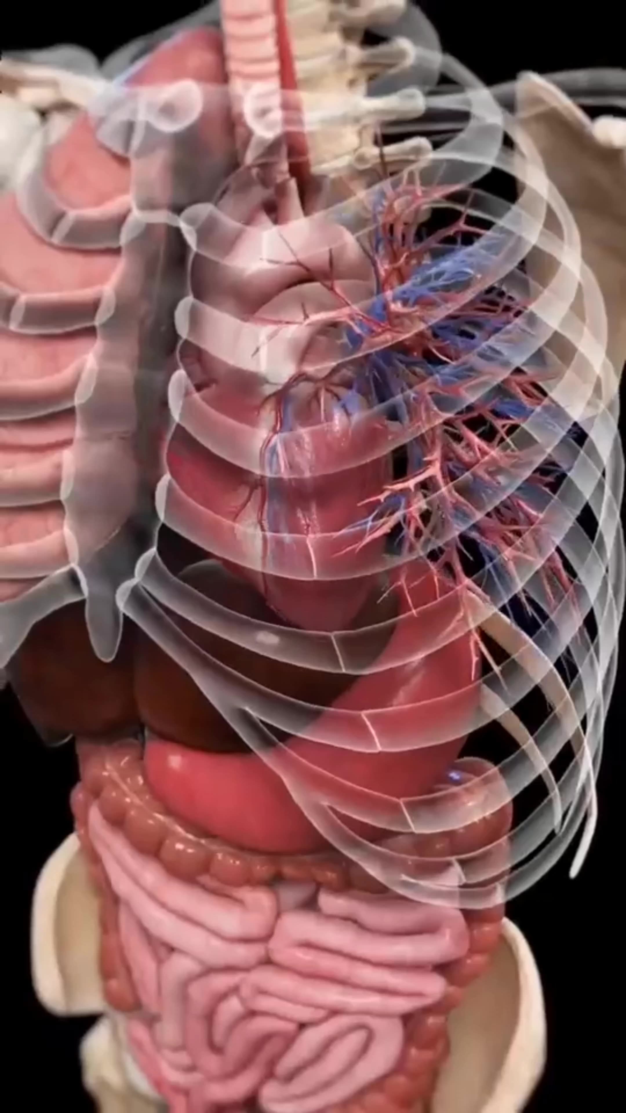 Human breath without lungs? Science says itβs possible!