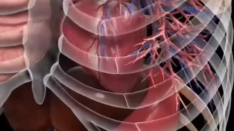 Human breath without lungs? Science says it’s possible!