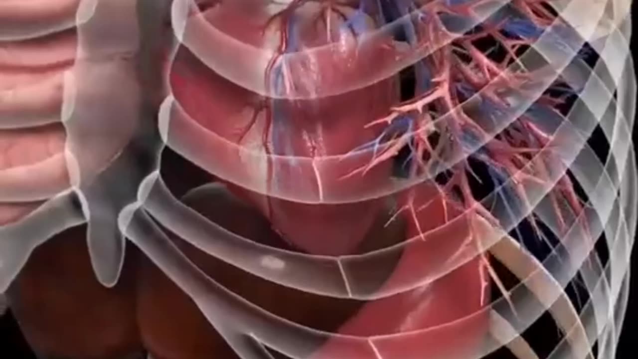 Human breath without lungs? Science says it’s possible!