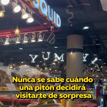 Pitón aparece en el techo de un centro comercial en Tailandia