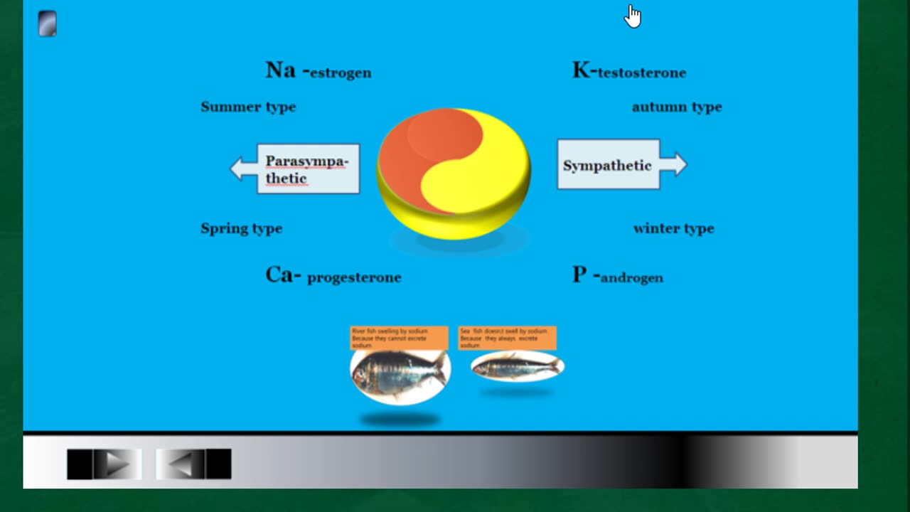 바닷물고기는 소음인 태음인이며, 민물고기는 태양인, 소양인인데 소금이 필요한 체질은 누구일까요? 사상의학적인 식염 짠물체질