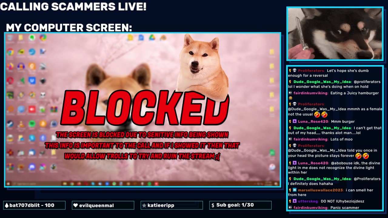 Short Scambait Stream!