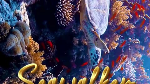 “The Heart of Asia beckons you” 🏞️🌴 Step into the Magic of Vietnam — A Journey Beyond Ordinary ✈️