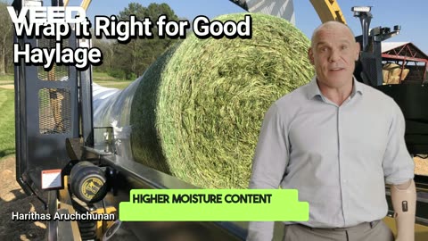 Wrap It Right for Good Haylage: Unlocking High-Quality Feed with Smart Wrapping