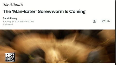 Alex Jones Show 24/7