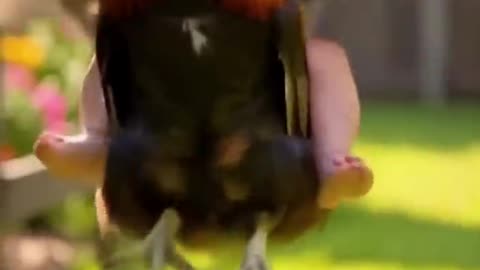 Kid rider