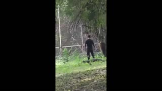 Daddy Goat 24/7 - Out Of Context Memes & Videos