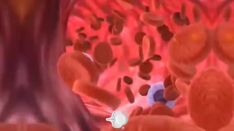 early signs of type 2 diabetes - FitDrop