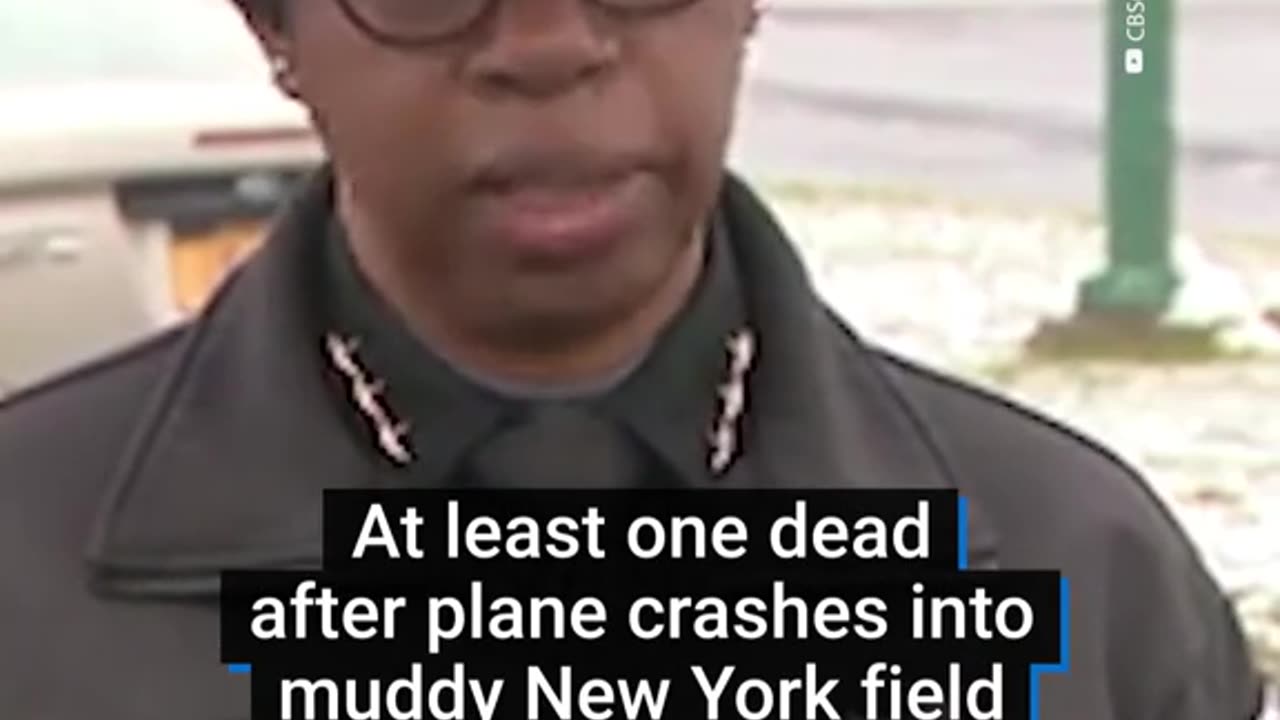 A small plane carrying six people crashed into a muddy field in New York