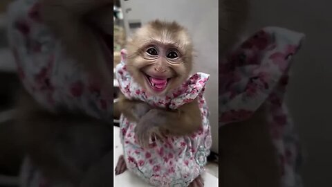 A smile like this can melt hearts and lift spirits. 🐵💕