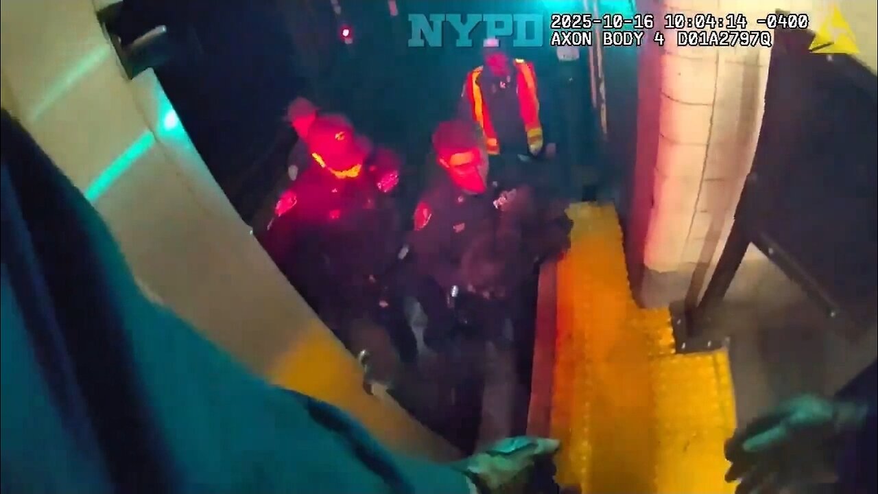 NYPD Rescues Dog From Underneath Manhattan Subway Train