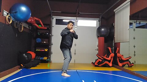 WTD 2 Step Kick Combination 105