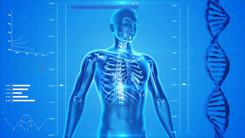 Human Nature & Modern Applications