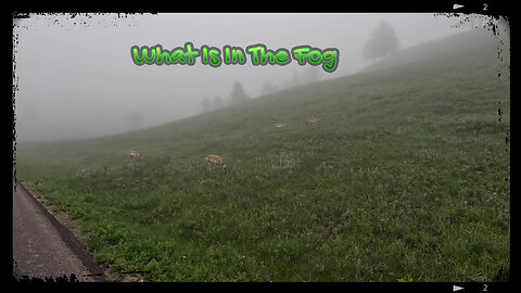 What is in the FOG