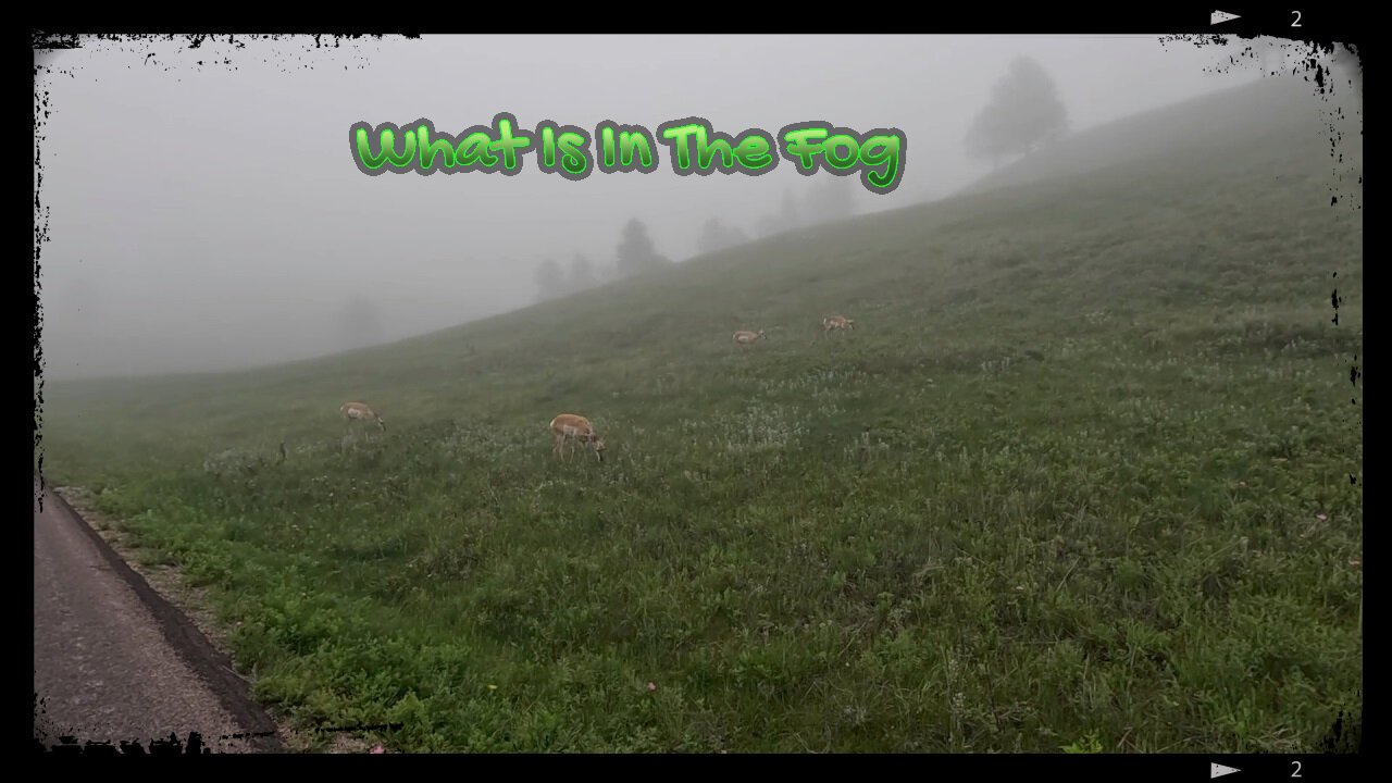 What is in the FOG