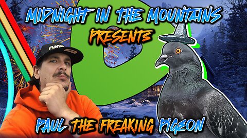 Follow ---> Paul The Pigeon Debute | Ask Paul Anything | Type "Paul" or "Hey Paul" before Question