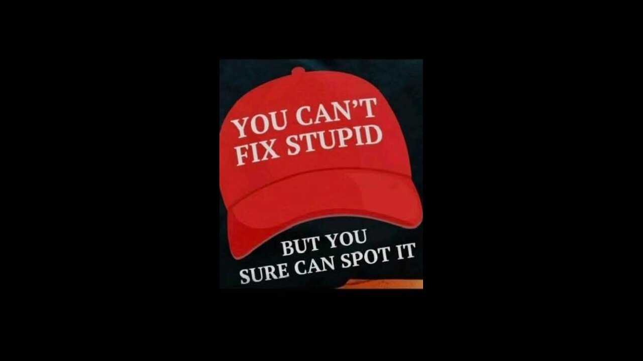 stupid people