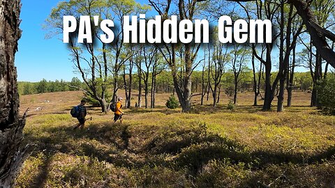 Loop of Meadows | Backpacking the Hidden Gem of Quehanna Wild Area