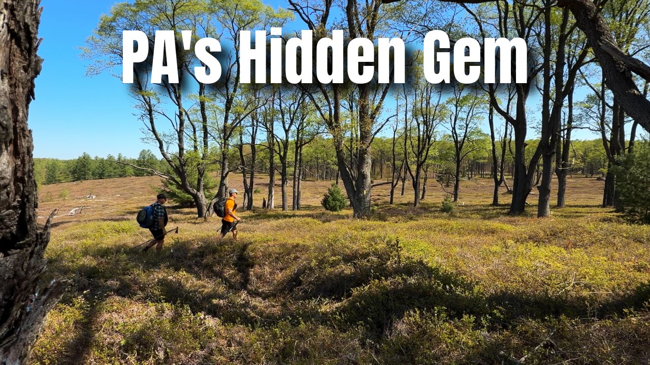 Loop of Meadows | Backpacking the Hidden Gem of Quehanna Wild Area