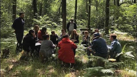Chat in woods
