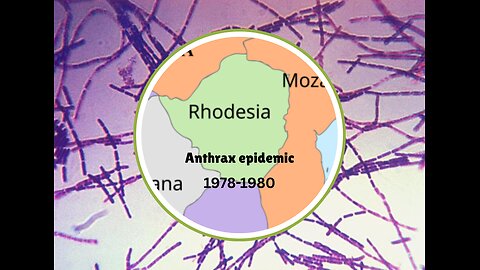 Rhodesia anthrax epidemic of 1978-1980: A natural outbreak or the result of biowarfare?