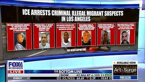 ‘DISGUSTING AND UNAMERICAN’: Legal immigrant reacts to riots in LA