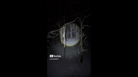 Alone in the woods #Subscribe #Upinalaska #Camping #Hiking #Bushcraft #Snow #iPhone #fyp #survival