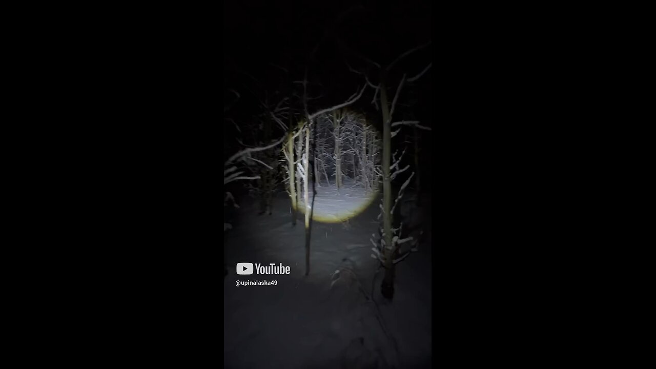 Alone in the woods #Subscribe #Upinalaska #Camping #Hiking #Bushcraft #Snow #iPhone #fyp #survival