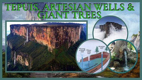 TEPUIS, POZZI ARTESIANI E ALBERI GIGANTI