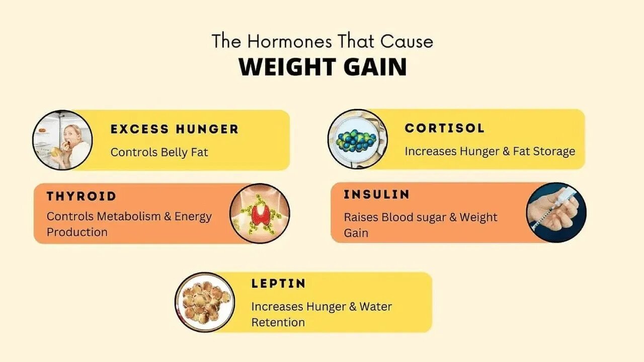 Leptin, Insulin, Cortisol, Estrogen and Low Metabolism: the Real Cause of Obesity I RP Ep. 131