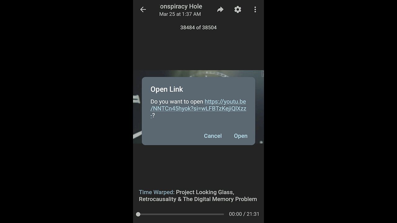 Documentary: Digital Memory Problem