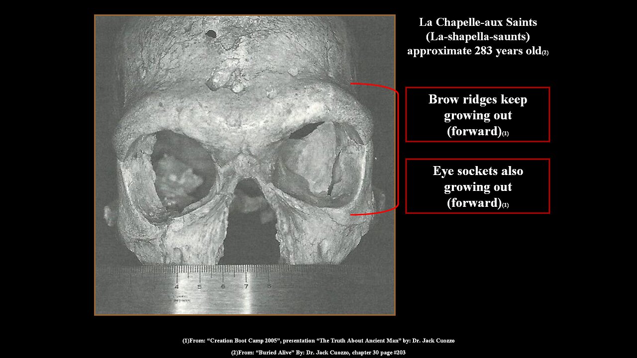 "Neanderthals...people that lived for hundreds of years" (Part#1)