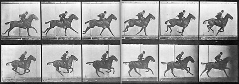 Sallie Gardner at a Gallop 1878 The Horse in Motion