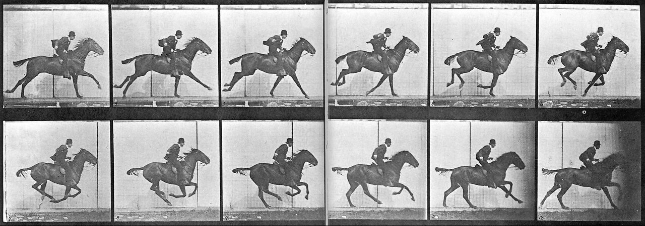 Sallie Gardner at a Gallop 1878 The Horse in Motion