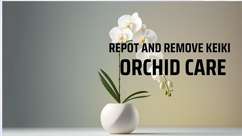 Orchid Care