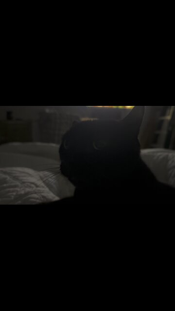 Only The Lonely Can Play