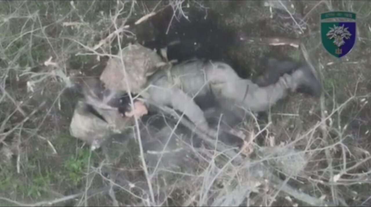 Война в Украине часть 377