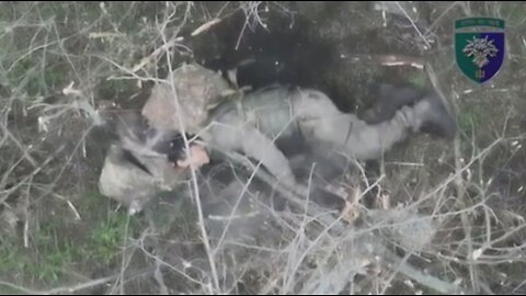 Война в Украине часть 377