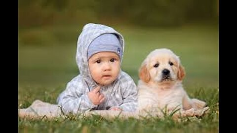 Yes, a puppy is like a baby dog.