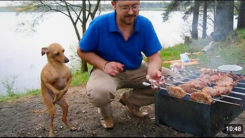 When Your Dog Is Being the Sweetest and Polite Little Gentleman! 🐶Cute Dog Videos