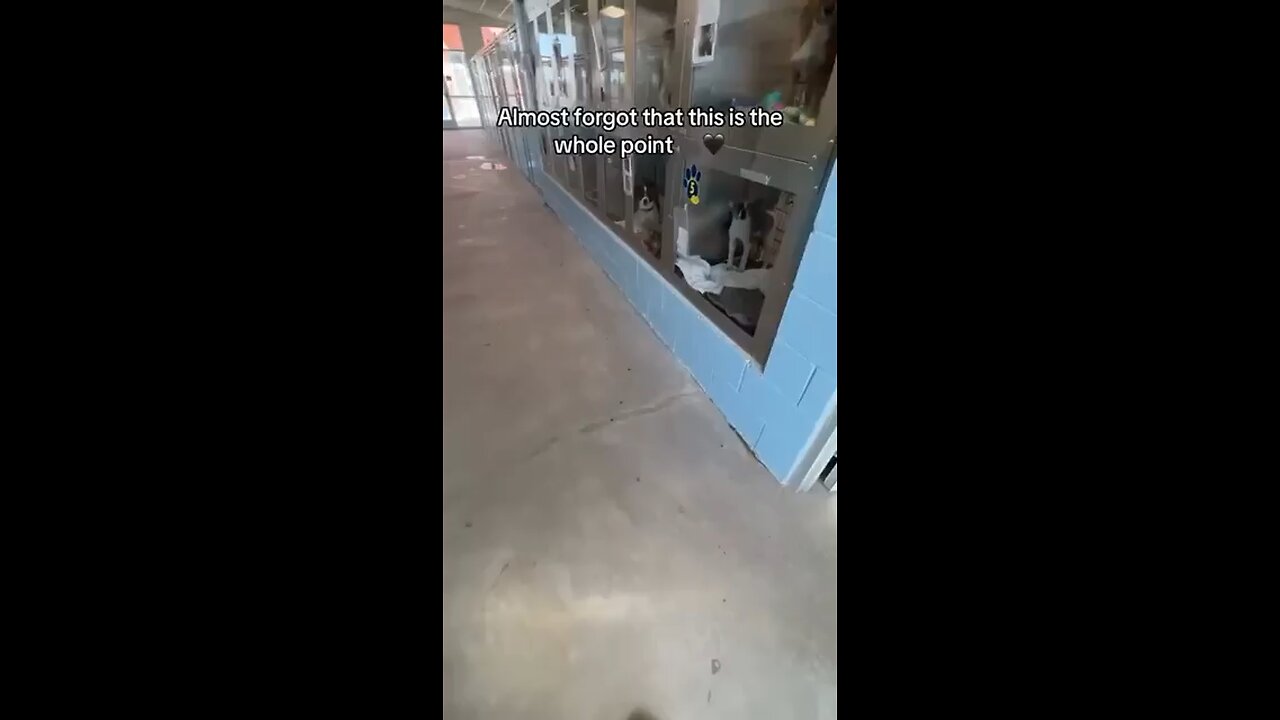Man adopts abused dog from shelter