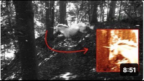 "Unbelievable Discovery from a Mysterious Book"